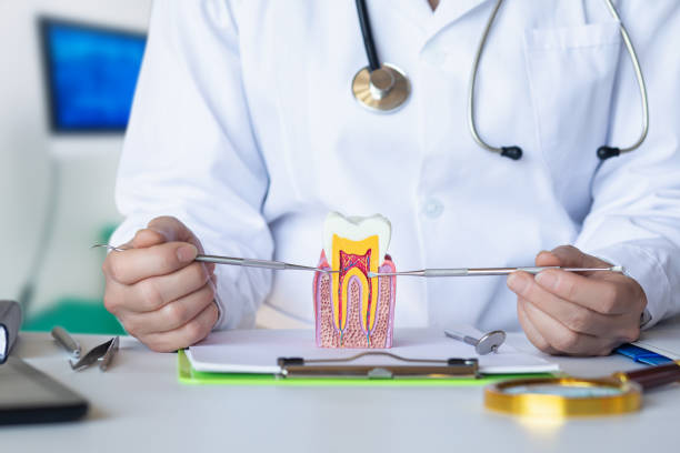Best Emergency Treatment for Toothache in New Berlin, IL